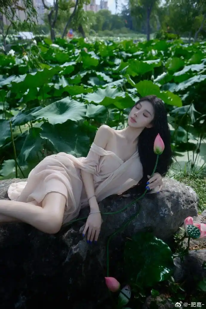 驾考App界面对比